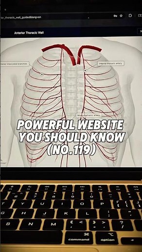 This Website Shows Every Part of the Human Body 🤯