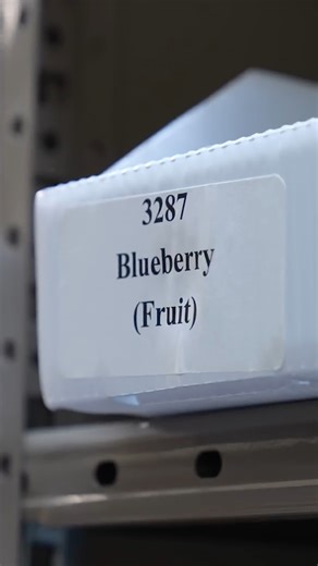 This government facility sells the most random items | Veritasium