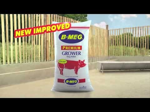 B-MEG Premium Bilis Kita