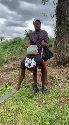 Exploring the Trending Power of Balli Bot Mogis