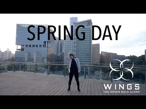 BTS '봄날 (Spring Day)' Dance Cover [Charissahoo]