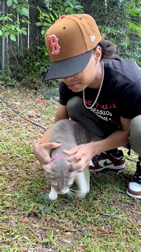 I took the bells off the cats collars #catlover #catsoftiktok #catsfacebook #kittensofinstagram #cat #kittens #lalaembroidery #explorerpage #fypシ゚viralシ | LaLa’s Embroidery