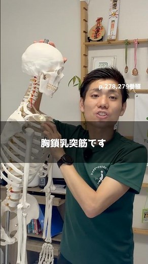 [Sternocleidomastoid muscle] Origin, insertion, and how to remember it #PhysicalTherapy