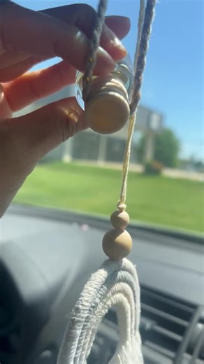 Black Raspberry Vanilla Car Diffuser: Hanging Car Air Freshener - Etsy