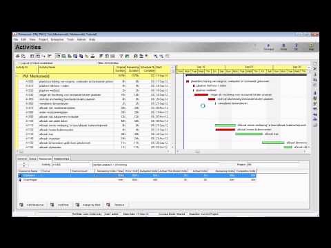 Basic Tutorial Primavera
