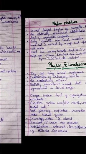 Animal kingdom , chapter -4 11th class. NOTES