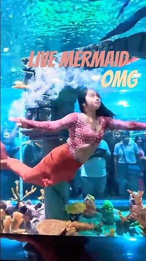 Explore Aquarium Paradise Bangalore | Aqurium Paradise | Bangalore Underwater world