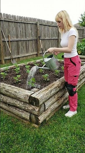 How to Grow Perfect Strawberries in a DIY Raised Bed