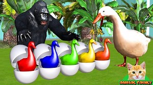 2.8K views · 73 reactions | *Funny animals story: Gorilla rescues eggs of Goose* Heavy rain, goose eggs are flooded. Mother runs wildly to find gorillas. Gorilla runs away to rescue the goose eggs. After the eggs are safe, the eggs hatch into lovely geese. #ChildrenStory #LearnColors #CartoonSong Learn Animals colorful with Nursery Rhymes! | Funny Stacy | Facebook