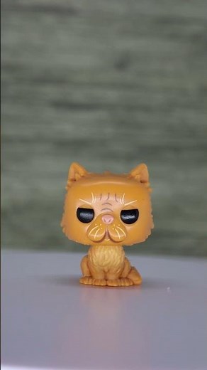 Hermione Granger cat transformation, Crookshanks, Neville Longbottom with Monster Book of Monsters