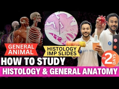 how to study histology anatomy in 1st year mbbs | general anatomy mbbs 1st year