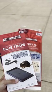 Easy to set up, easy to check—keeping your home pest-free has never been simpler! 👌 #MouseTrap #GlueTray #PestControl #HomeProtection #Catchmaster | Catchmaster