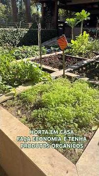 Home Garden | Save Money and Have Organic Vegetables