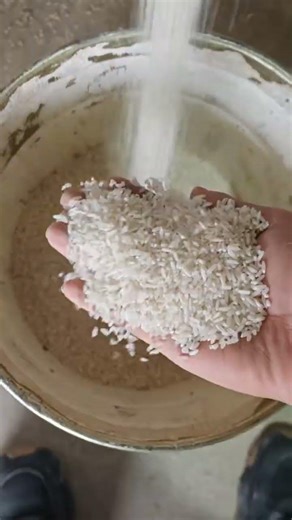 M96 Rice Color Sorting Machine-1 ton Capacity Per Hour #colorsorter #ricecolorsorter