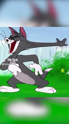Tom and Jerry Cartoons: A Plan Full of Holes