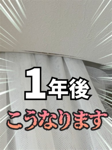このアーチ、1年後こうなります 綺麗に見える施工にも、知っておくべきリスクがあります。 クロスを出隅で継ぐような施工は、やはり避けるのが一般的なのでしょうか？ ━━━━━━━━━━━━━━ ケンまるでは、撮影にご協力いただける職人さん・工務店さんを募集しています！ 「こんな施工も紹介してほしい」「うちでも撮影できるよ」という方は、お気軽にDMからご連絡ください！ #アーチ壁 #クロス #注文住宅 #家づくり ━━━━━━━━━━━━━━ 解説いただいた牧野さんが代表を務めるジェイホームズ株式会社では、現場監督を中心に求人を募集しているそうです！ 「こんな家づくりに携わってみたい！」と思った方は、ぜひ「ジェイホームズ」と検索してHPからお気軽に連絡してみてください！ ━━━━━━━━━━━━━━ VOICEVOX：ずんだもん
