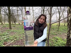 Making Birch Syrup: Collecting & Boiling Silver Birch Sap in Dorset