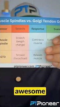 💥 NASM Muscle Spindles vs. GTOs + Quiz & Easy Table