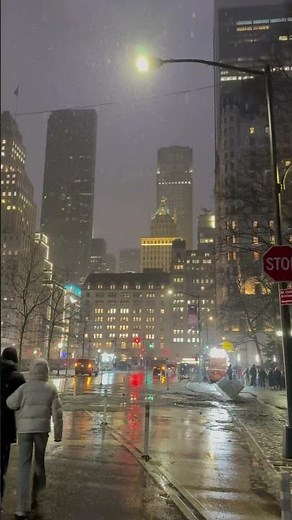 Central Park New York City #nyc