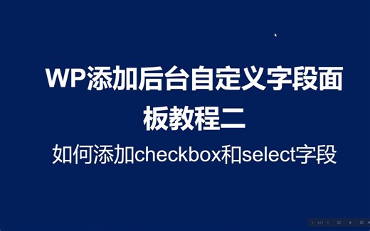 WordPress2023最新代码教学WP如何添加后台字段面板如何添加checkbox字段和select字段
