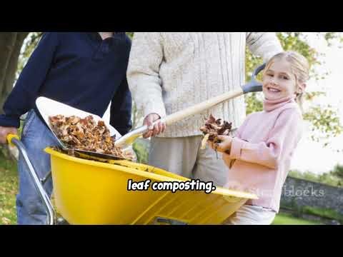 How to Compost Leaves without Cutting Them Up First