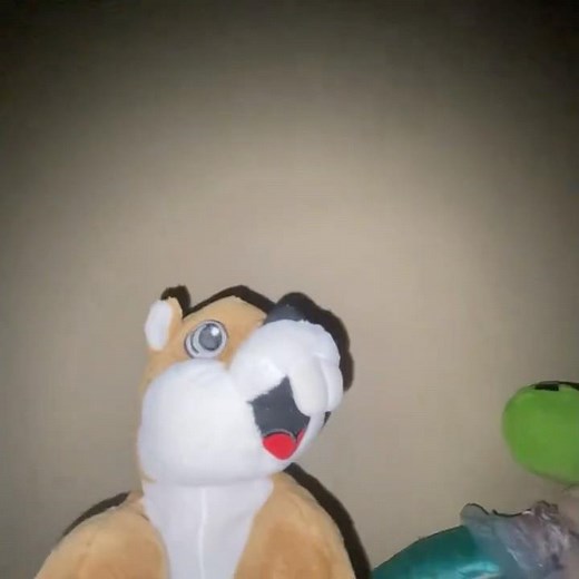 elmo world birds baby