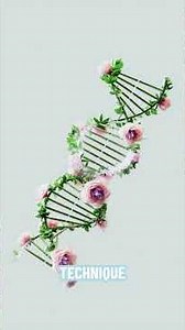 Unlocking AI's Deepest Secrets: Knowledge Distillation