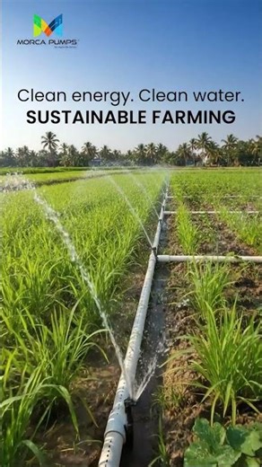 How to Irrigate Your Land for Free with Morca Solar Pumps