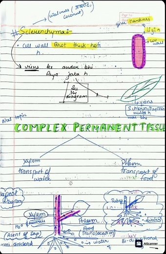 class 9th biology chapter tissue(plant tissue) pt.1📑. #bio #biology #youtube