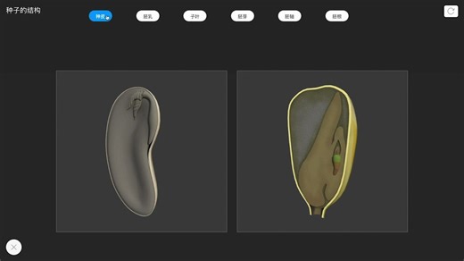 【生物】种子的结构