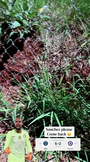 Filip Jorgensen: Chelsea's Goalkeeping Spotlight