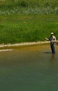 Here's a snippet of today's YouTube video How To Work Trout Run at this link: https://youtu.be/slEQ63srkcg The full video focuses on the 80-20 rule: 80% of the trout in a stream are found in 20% of the water. And then we break down how to work the water to catch those gorgeous trout 😊 | Jensen Fly Fishing