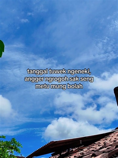 Blackjava.story (@blackjava.story)’s videos with suara asli - Galery Ibra