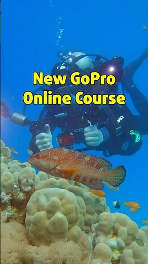 Master Your GoPro Underwater #gopro #underwater #onlinecourses #underwaterfilming #scubadiving