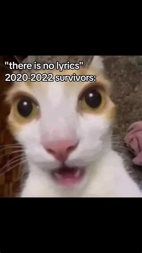 #fyp #viral #zybca #foryoupage #survivor | aye domino song