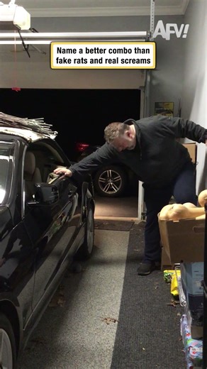 Name a better combo than fake rats and real screams