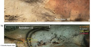 Avancée majeure : ces peintures rupestres découvertes en Dordogne ouvrent la voie à une datation précise au radiocarbone