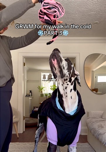 GRWM PT 3: I am not happy with the groundhog’s prediction 🥲 #dogsoftiktok #groundhogday #GRWM #OOTD