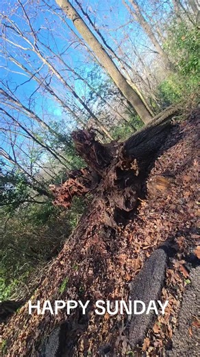 trail canceled...its raining see yall next week #pricelessmotivation