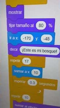 Programa con Scratch una animación utilizando apariencia y movimiento.