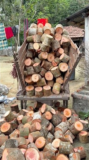 Watch an 8-Year-Old Kid’s Amazing Wood Bark Peeling Technique! 😲🪵 #woodcutting #viral#short