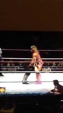 Ultimate Warrior vs Undertaker 1991