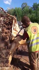 Taiga Log Homes on Reels