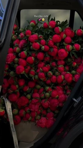 Yaara Ve ❤️ || Karamjit Anmol ||