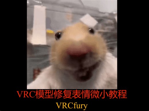 VRchat改模装上VRCfury插件导致表情微小错误修复教学