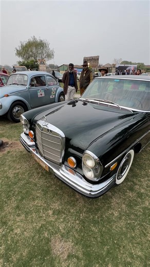 Apna Channel PK (@apnachannelpk1)’s videos with original sound - Apna Channel PK