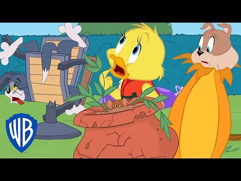 Tom & Jerry | Bad Luck Duck! | WB Kids