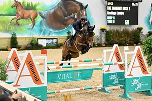 $500 Standlee 1.20 Meter Jumper 2.2b - WEC Ohio Winter Classic #5 - 2024 | Videos, Live Streams, Films and Shows | ClipMyHorse.TV