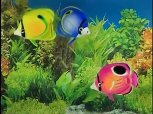 Baby Einstein - Baby Bach - באך-TVseries.co.il