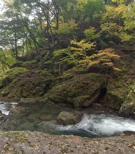 🍁🏞️ 【紅葉シーズンの渓谷美を誇る西沢渓谷を固定カメラで堪能してみた — 4K 2D版】本編はVR180の8Kバージョンで公開中！🍁🏞️ [Experiencing Autumnを押して‼